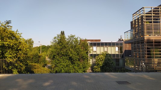 IMG_20230609_083602-min