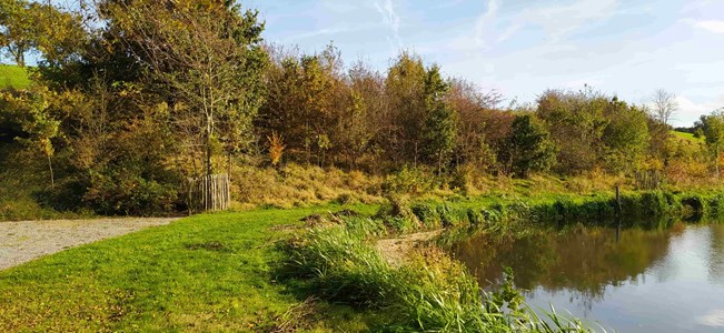 IMG_20211027_140615-min