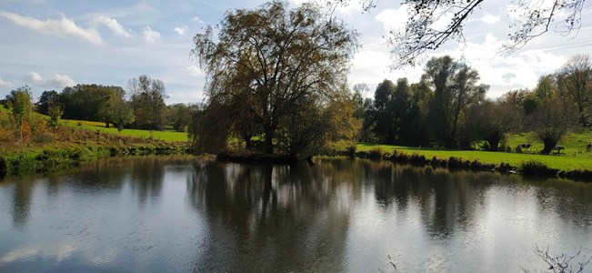 IMG_20211027_140620-min